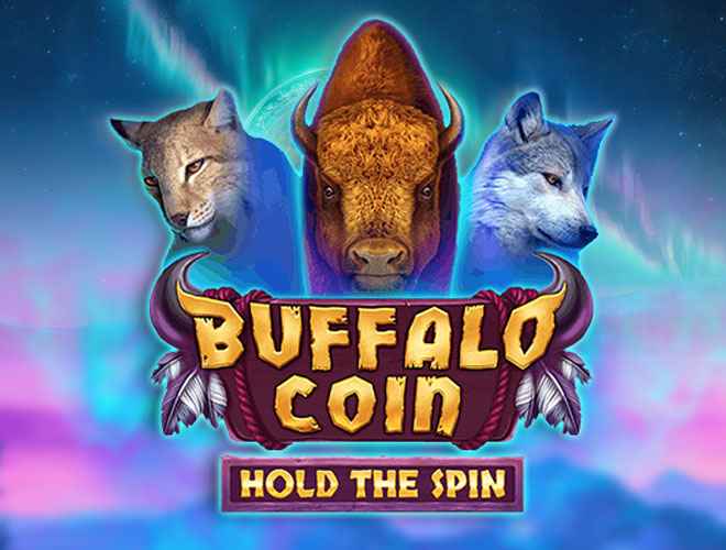 Buffalo Coin slot