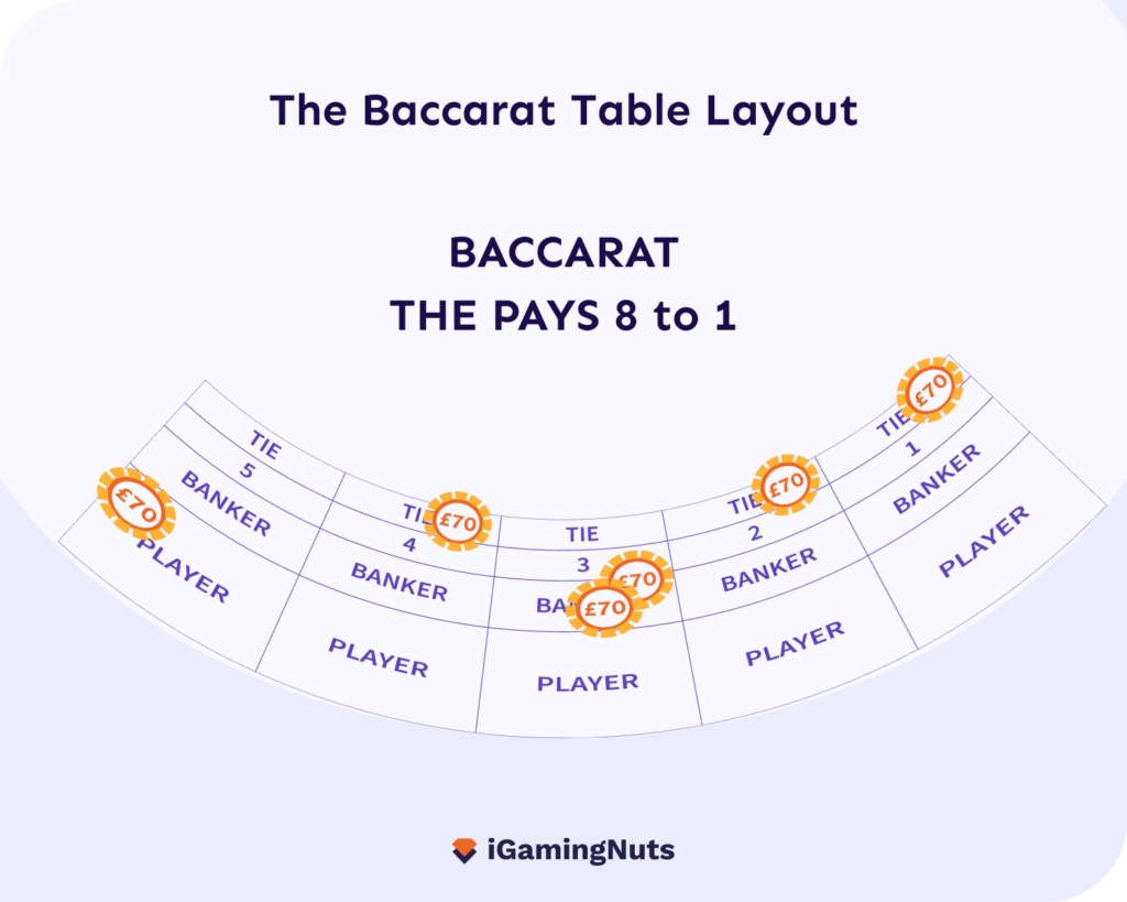 Baccarat Table Layout